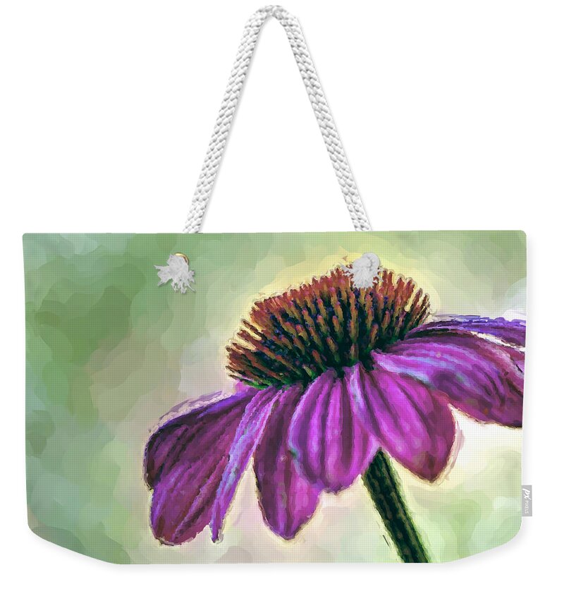Nobody Weekender Tote Bag featuring the photograph Tried And True by Heidi Smith