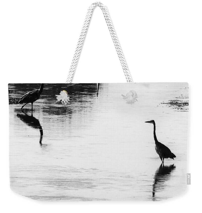 Great Blue Heron Weekender Tote Bag featuring the photograph Trilogy - Black and White by Belinda Greb