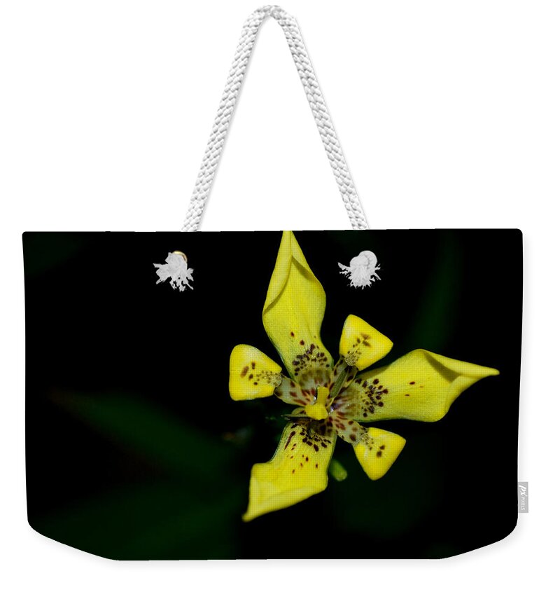Yellow Weekender Tote Bag featuring the photograph Tropic Yellow by Miguel Winterpacht