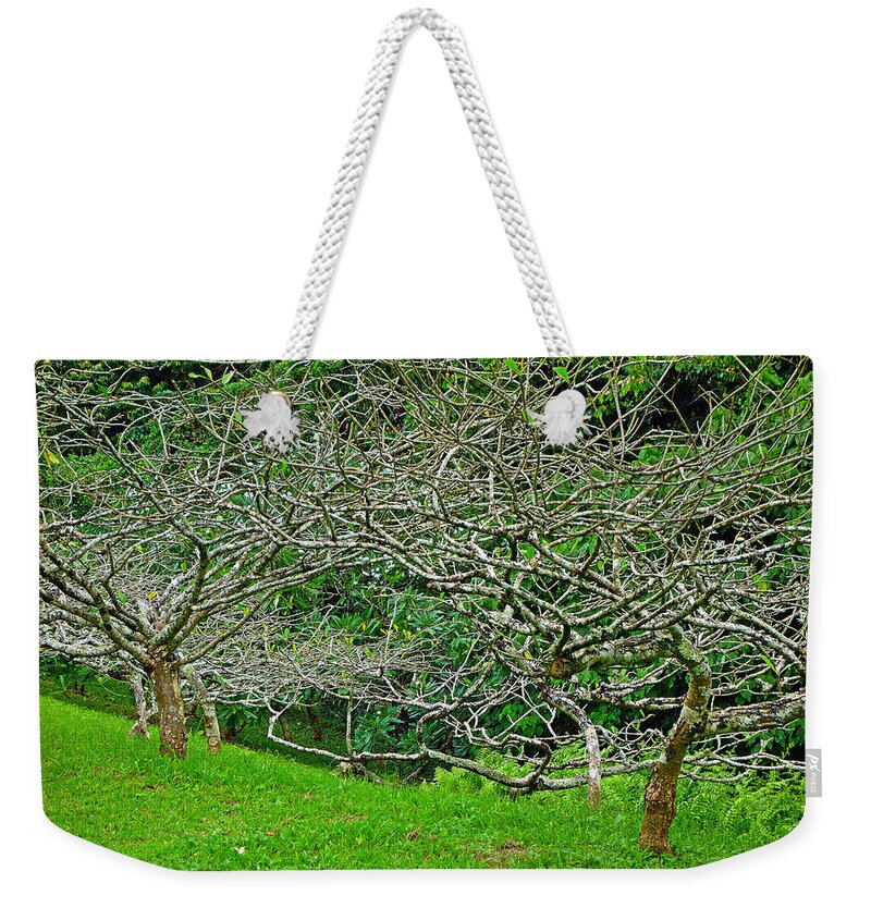Tropical Weekender Tote Bag featuring the photograph Tropical Entanglement by Robert Meyers-Lussier