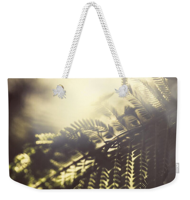 Fern Weekender Tote Bag featuring the photograph Tropical jungle sundown by Jorgo Photography