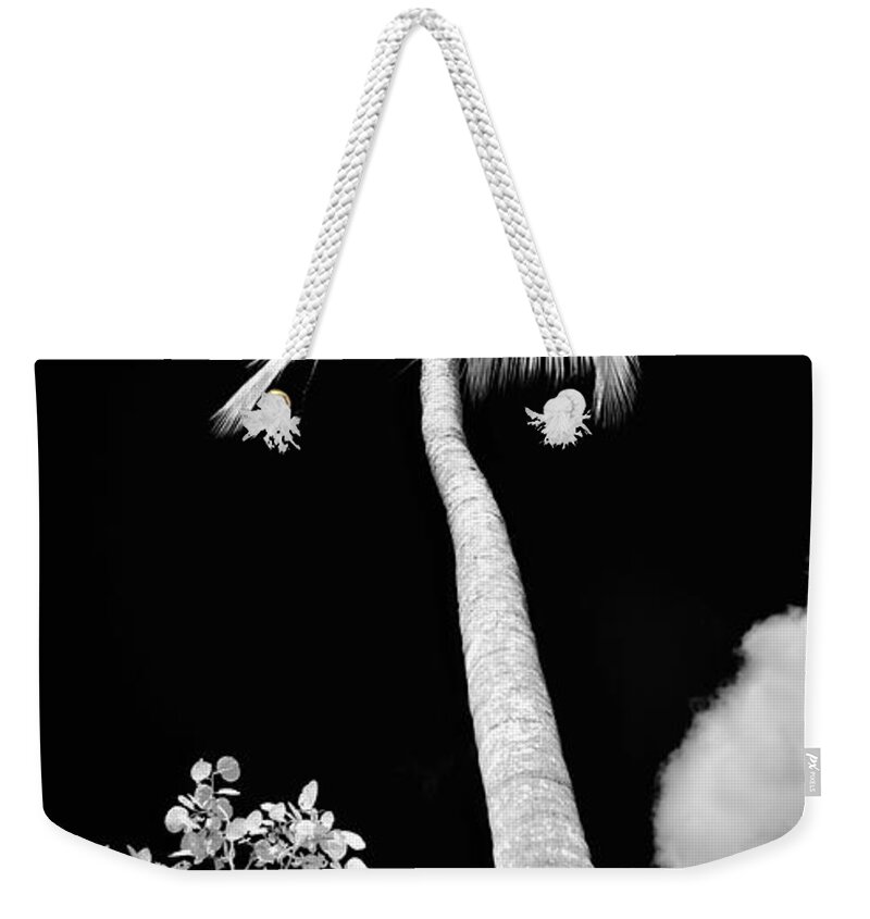St. John Weekender Tote Bag featuring the photograph Tropical Palm St. John by Luke Moore