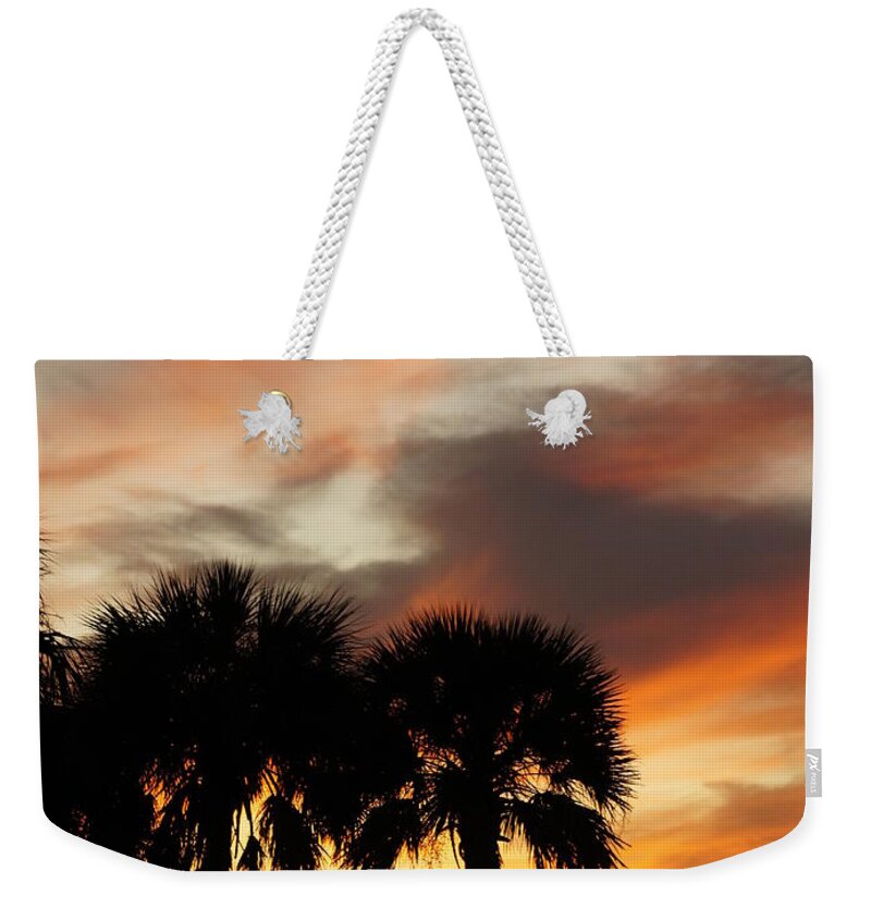 Tarpon Springs Florida Weekender Tote Bag featuring the photograph Tropical Vacation by Laurie Perry