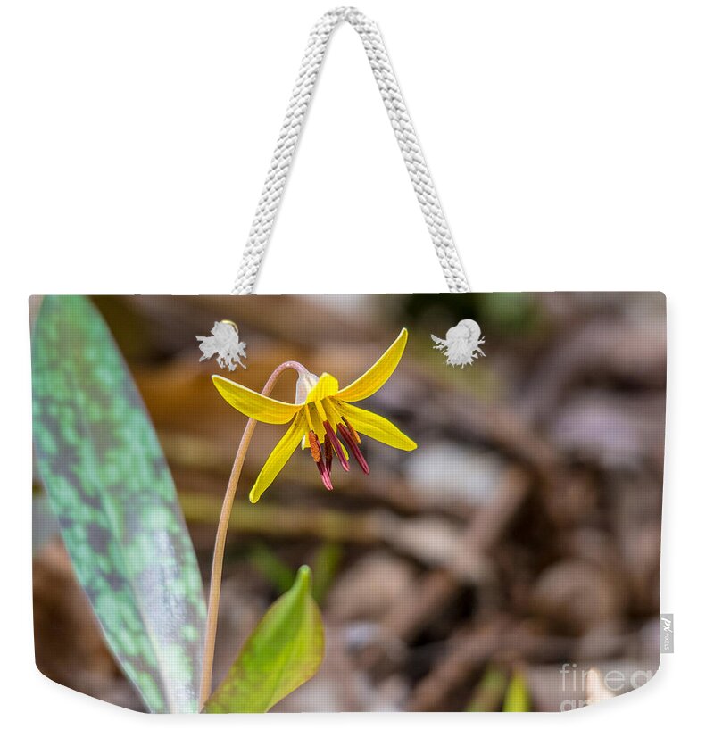 Landscape Weekender Tote Bag featuring the photograph Trout Lily by Cheryl Baxter