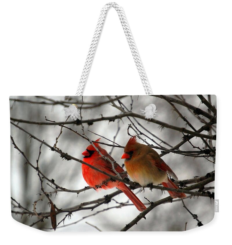 Cardinals Weekender Tote Bag featuring the photograph True Love Cardinal by Peggy Franz