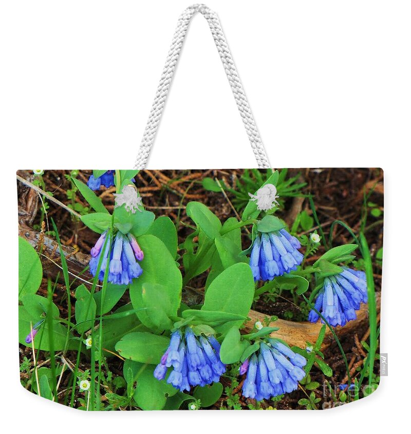 Trumpet Lungwort Weekender Tote Bag featuring the photograph Trumpet Lungwort by Michele Penner