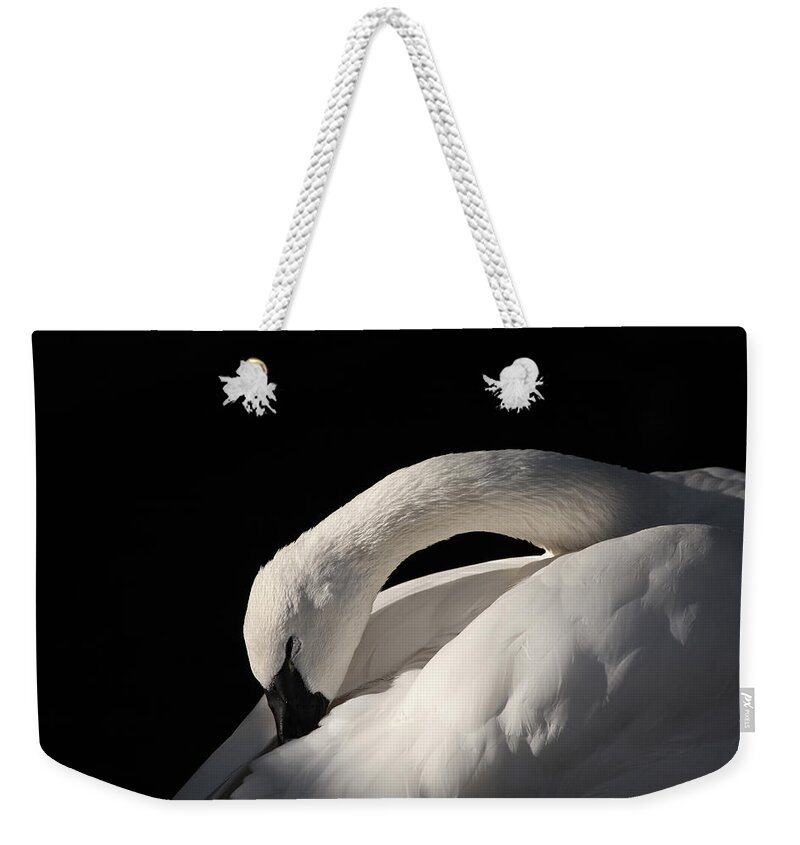 Swan Weekender Tote Bag featuring the photograph Trumpeter by Karol Livote