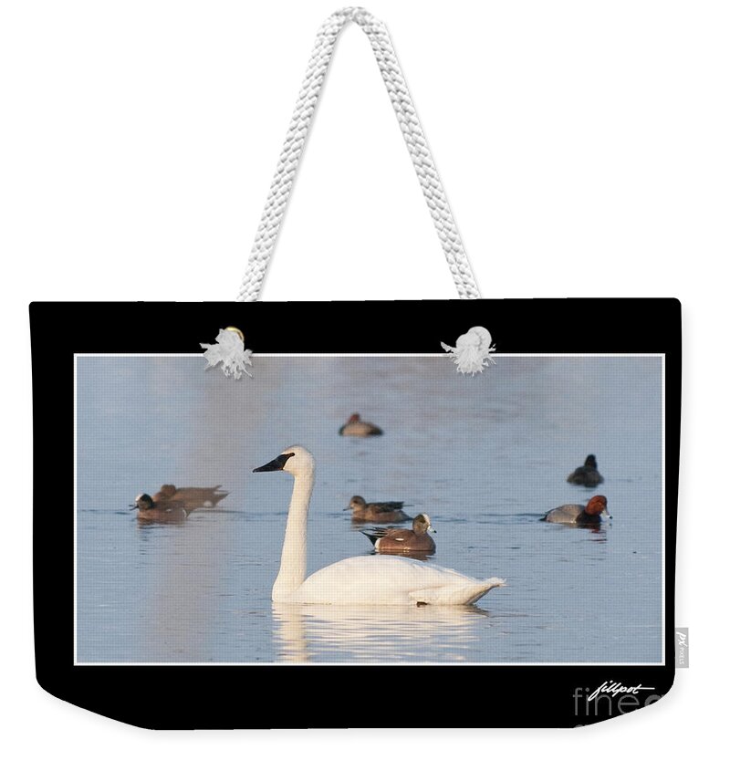 Swan Weekender Tote Bag featuring the photograph Trumpeter Swan by Bon and Jim Fillpot