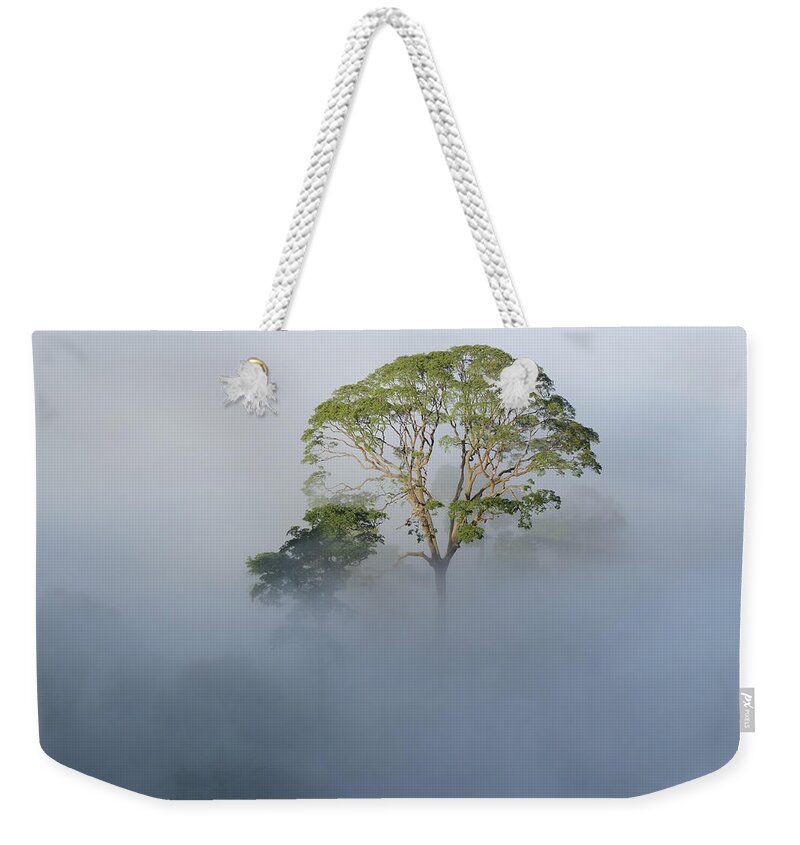 Ch'ien Lee Weekender Tote Bag featuring the photograph Tualang Tree Above Rainforest Mist by Ch'ien Lee