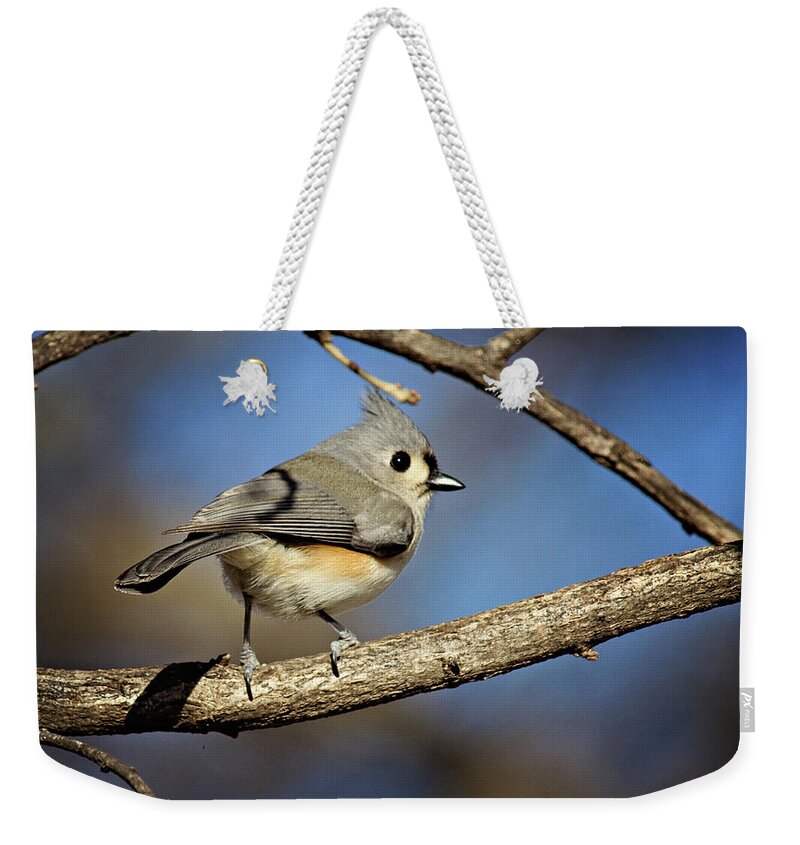 backyard Birds Weekender Tote Bag featuring the photograph Tufted Titmouse - 1 by Lana Trussell