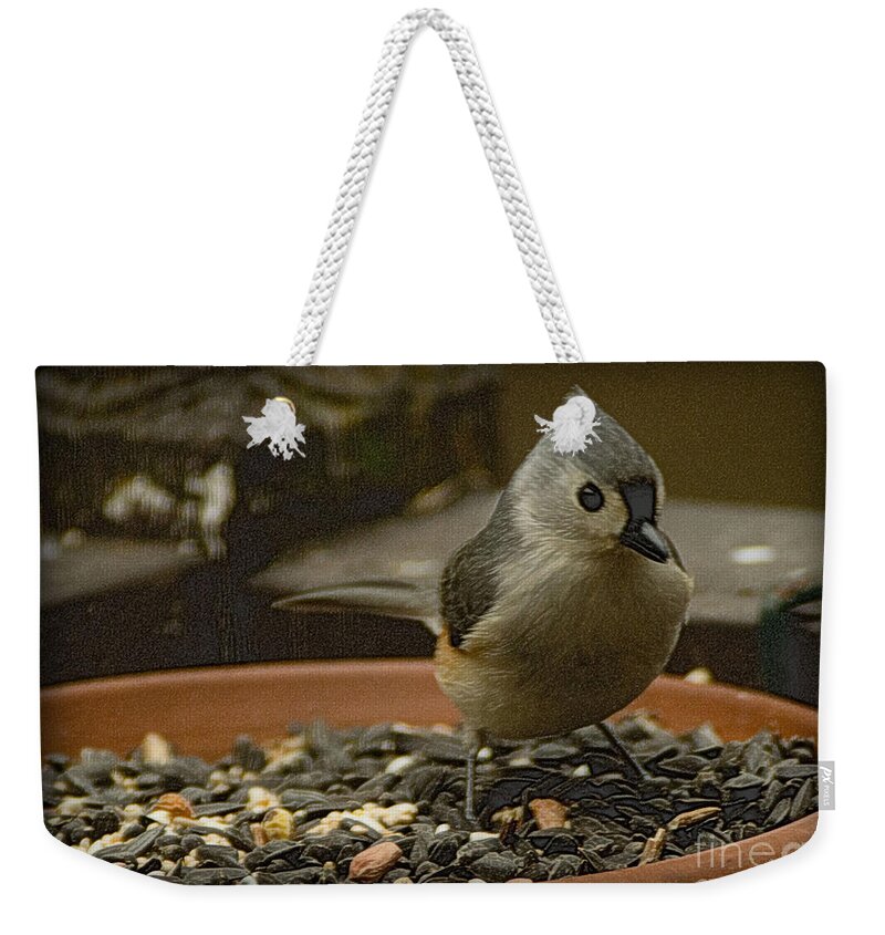 Bird Weekender Tote Bag featuring the photograph Tufted Titmouse 2 by Sandra Clark