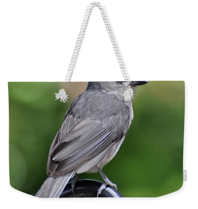 Birds Weekender Tote Bag featuring the photograph Tufted Titmouse by Kathy Baccari