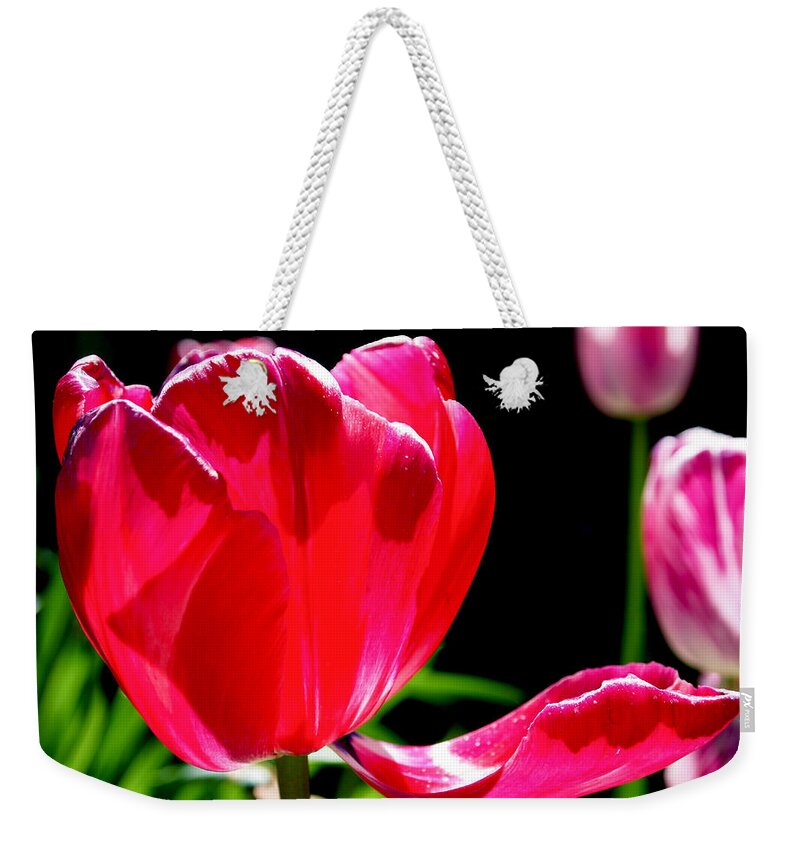 Tulip Weekender Tote Bag featuring the photograph Tulip Extended by Rona Black