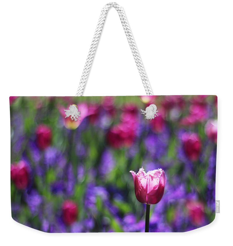 Flowers Weekender Tote Bag featuring the photograph Tulip Field II by Jessica Jenney