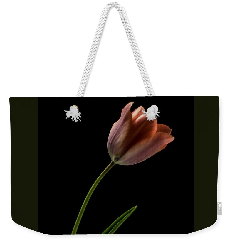 Still Life Weekender Tote Bag featuring the photograph Tulip in quiet Light by Ron Roberts