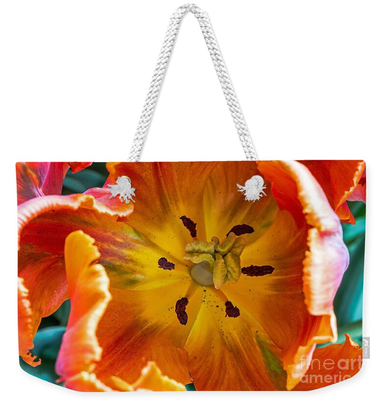 Filoli Weekender Tote Bag featuring the photograph Tulip Two by Kate Brown