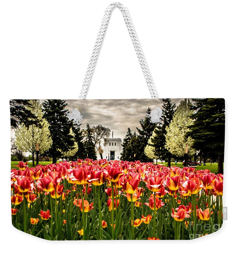 Tulip Festival Weekender Tote Bag featuring the photograph Tulips and Building by Grace Grogan