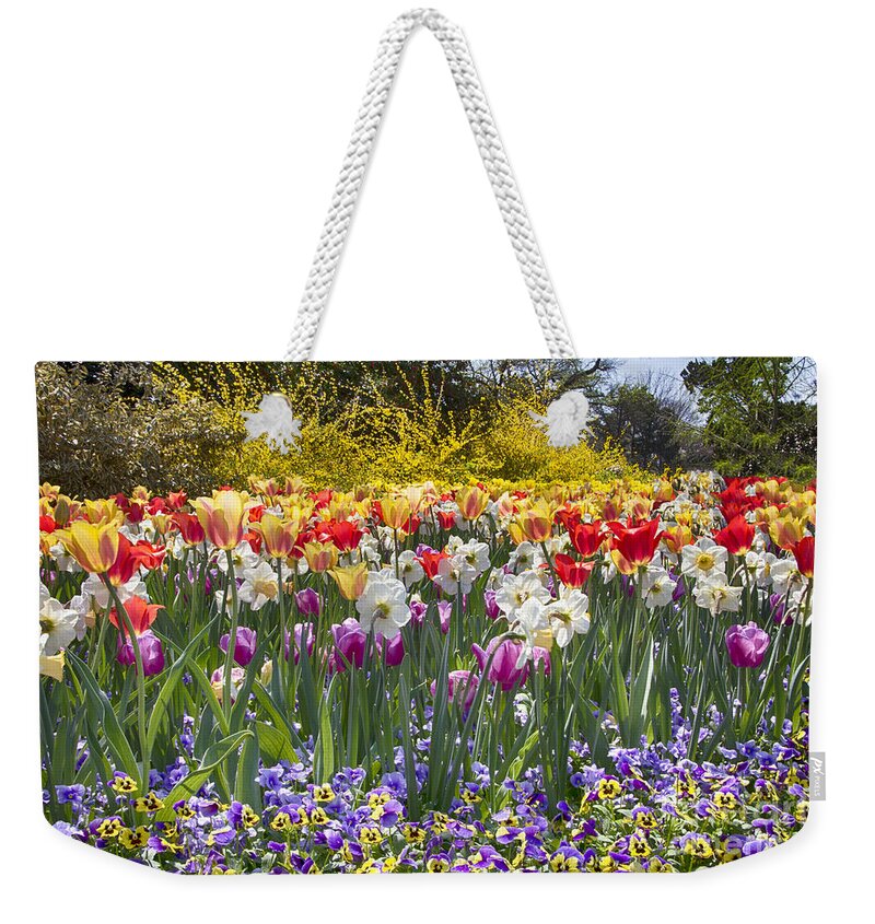 Tulips Weekender Tote Bag featuring the photograph Tulips at Dallas Arboretum V17 by Douglas Barnard