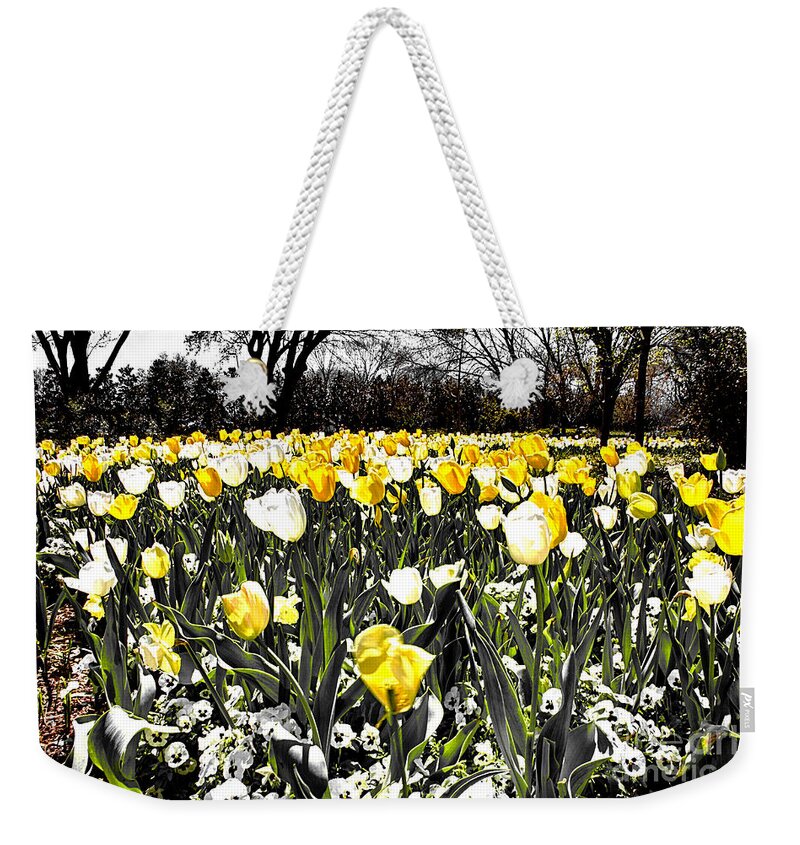 Tulips Weekender Tote Bag featuring the photograph Tulips at Dallas Arboretum V26 by Douglas Barnard