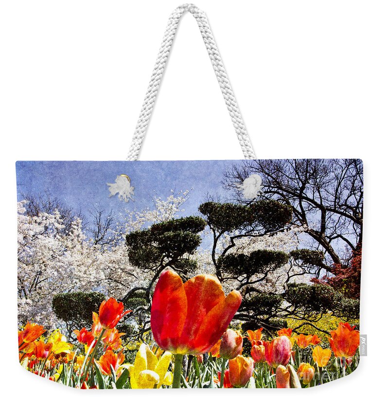 Tulips Weekender Tote Bag featuring the photograph Tulips at Dallas Arboretum V48 by Douglas Barnard