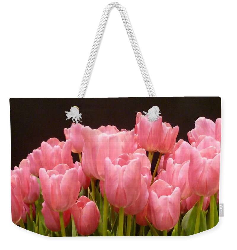 Tulips Weekender Tote Bag featuring the photograph Tulips in Bloom by Lingfai Leung