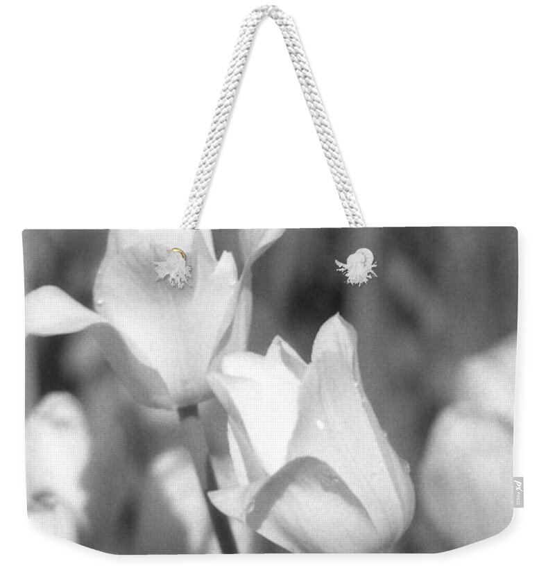 Tulip Weekender Tote Bag featuring the photograph Tulips - Infrared 13 by Pamela Critchlow