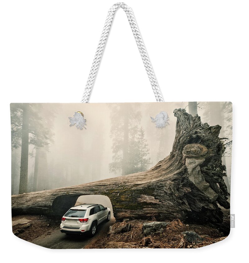 Sequoia Tree Weekender Tote Bag featuring the photograph Tunnel Log, Sequoia National Park, Usa by © Allard Schager