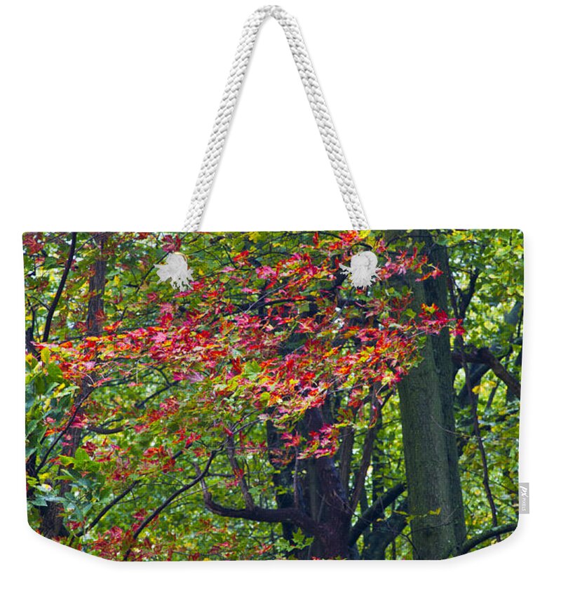 Virginia Weekender Tote Bag featuring the photograph Turning by Kathy McClure