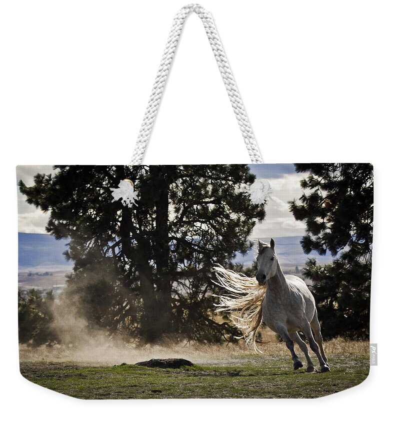 Turning On A Dime Weekender Tote Bag featuring the photograph Turning On A Dime by Wes and Dotty Weber