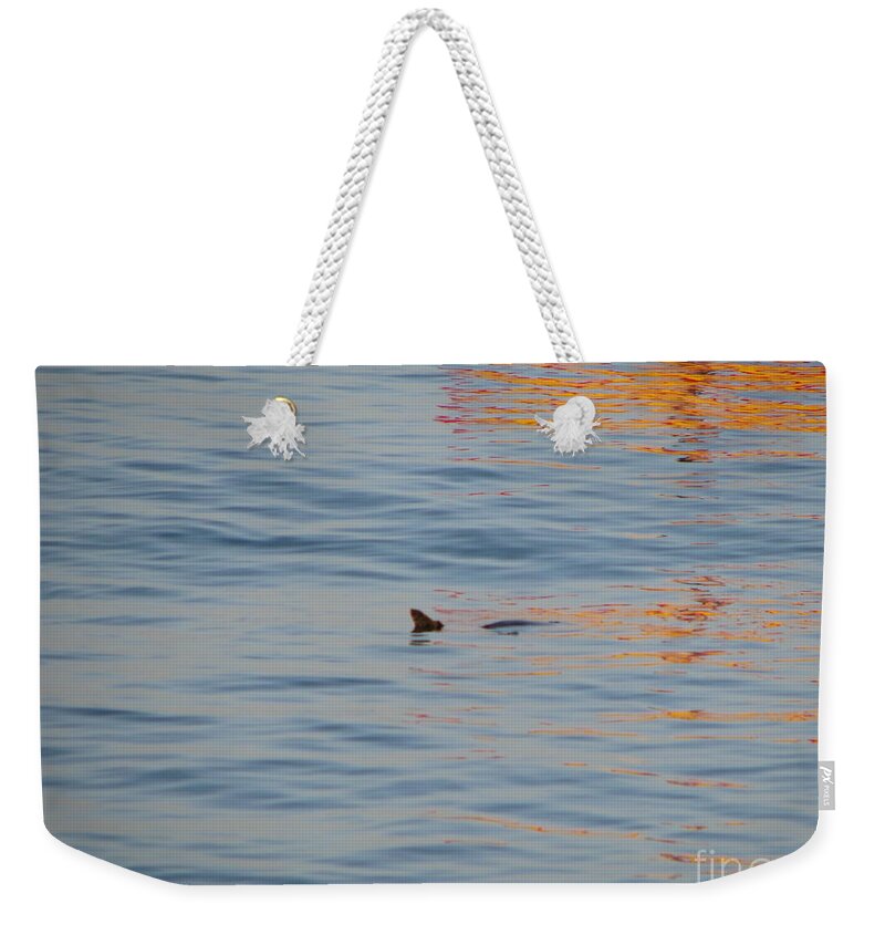 Maui Weekender Tote Bag featuring the photograph Turtle by Michael Krek
