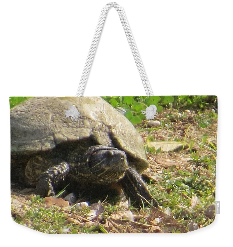 Turtle Weekender Tote Bag featuring the photograph Turtle Up Close by Ella Kaye Dickey