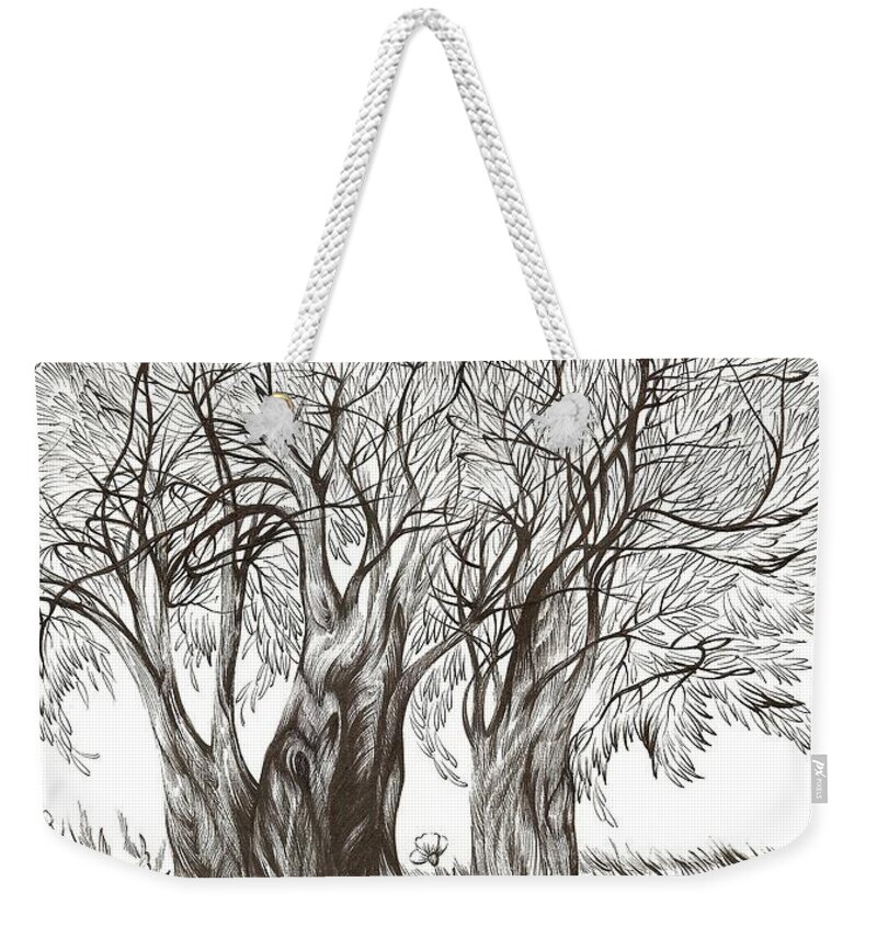 Pen And Ink Weekender Tote Bag featuring the drawing Tuscany Olives by Anna Duyunova