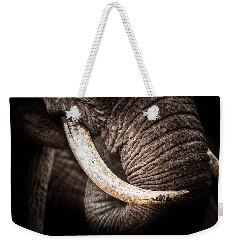 Abedare Mountains Weekender Tote Bag featuring the photograph Tusks And Trunk by Mike Gaudaur