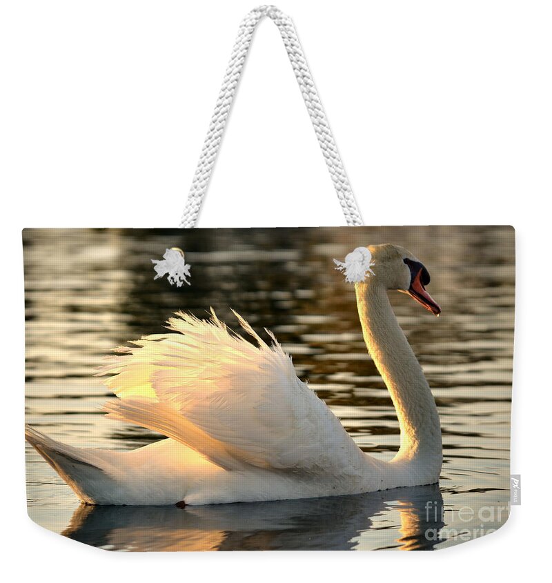 White Swan Weekender Tote Bag featuring the photograph Twilight Swim by Deb Halloran