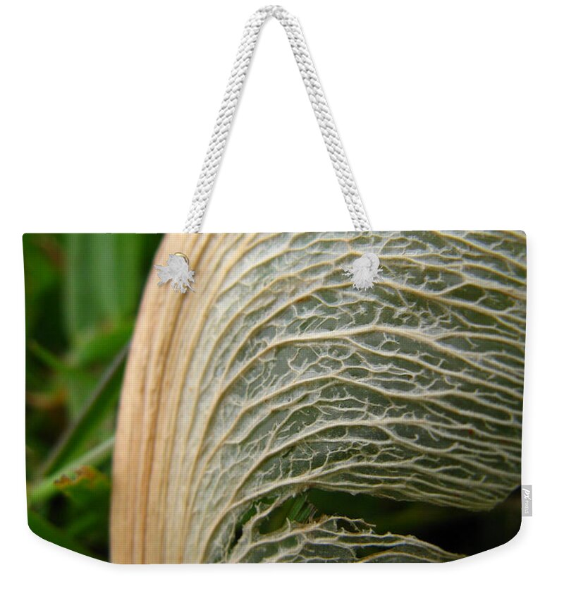 Twirly Weekender Tote Bag featuring the photograph Twirly Whirly by Rhonda Barrett