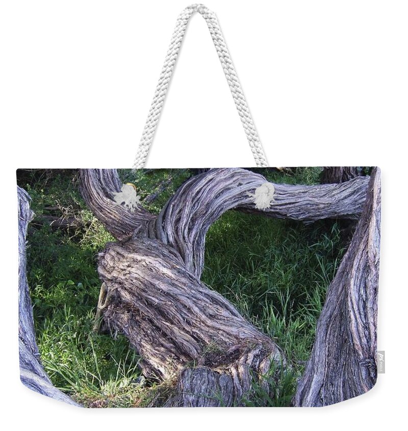 Abstract Weekender Tote Bag featuring the photograph Twisted Tree by Steve Ondrus