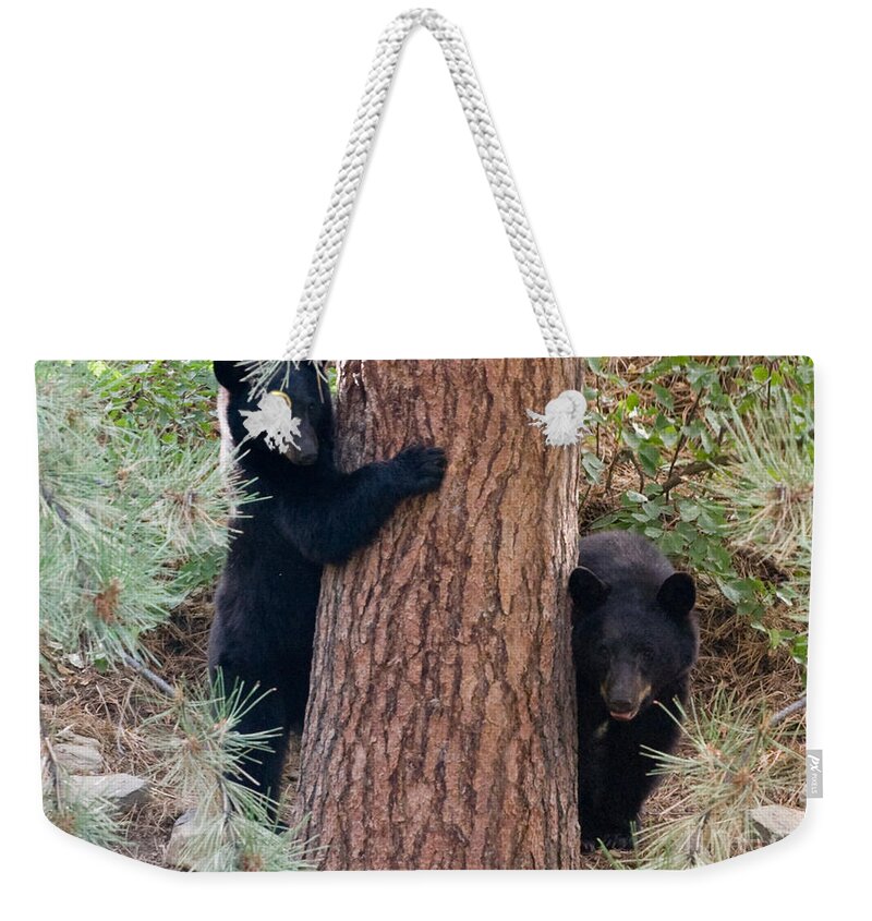 Black Bear Weekender Tote Bag featuring the photograph Two Bears by Bon and Jim Fillpot