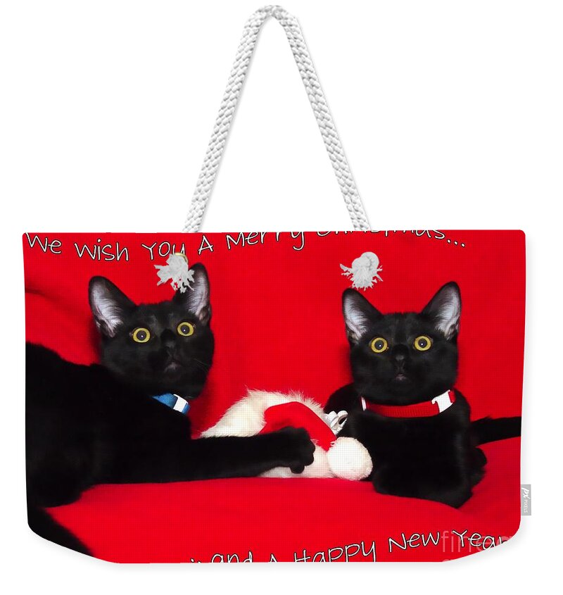 Black Weekender Tote Bag featuring the photograph two black cats Christmas by Peggy Hughes