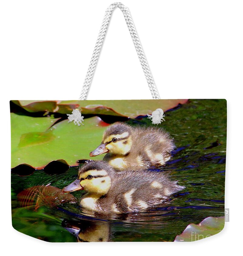 Ducklings Weekender Tote Bag featuring the photograph Two Ducklings by Amanda Mohler