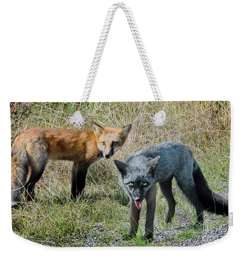 Fox Weekender Tote Bag featuring the photograph Two Fox Seattle by Jennie Breeze