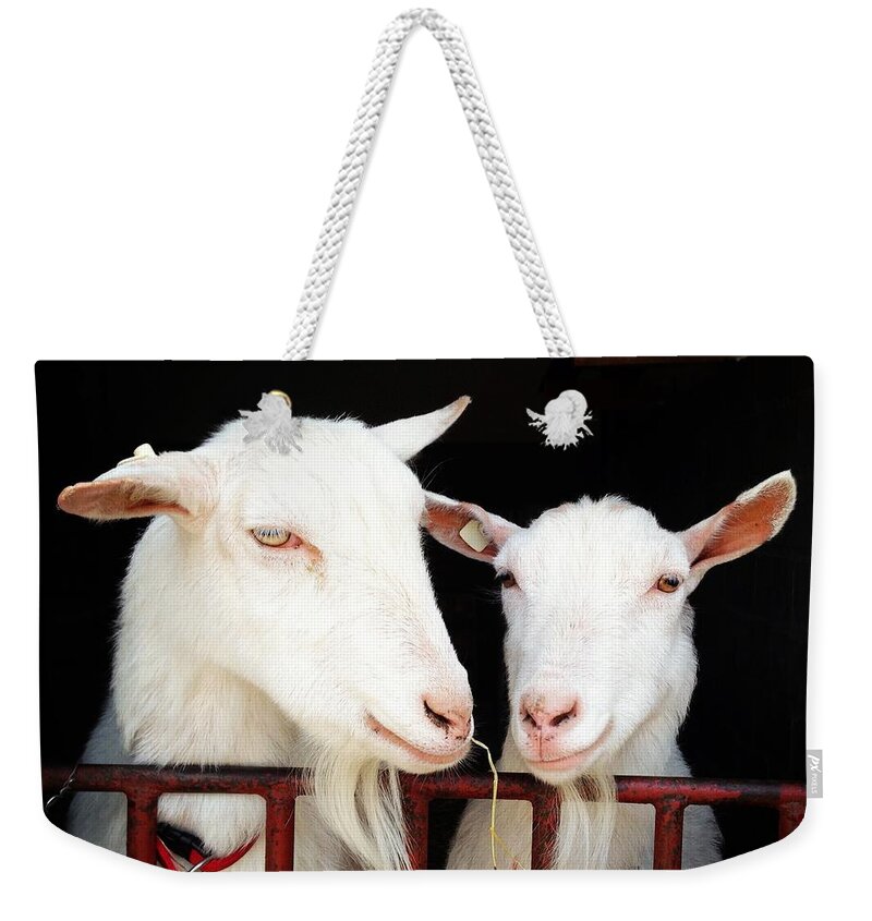 North Rhine Westphalia Weekender Tote Bag featuring the photograph Two Goat by Yulia Reznikov