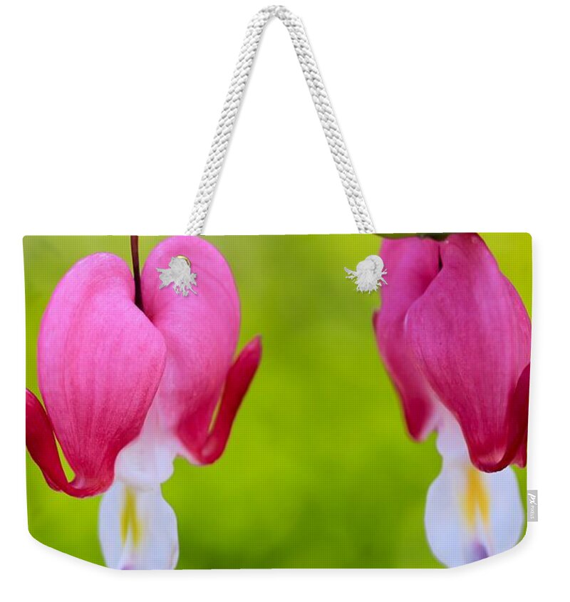 Beautiful Weekender Tote Bag featuring the photograph Two Hearts Valentine's Day by Heidi Smith