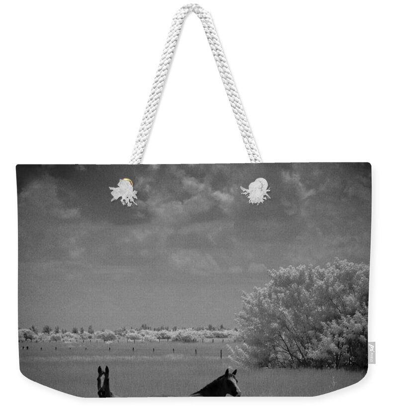 Horse Weekender Tote Bag featuring the photograph Two Horses by Bradley R Youngberg