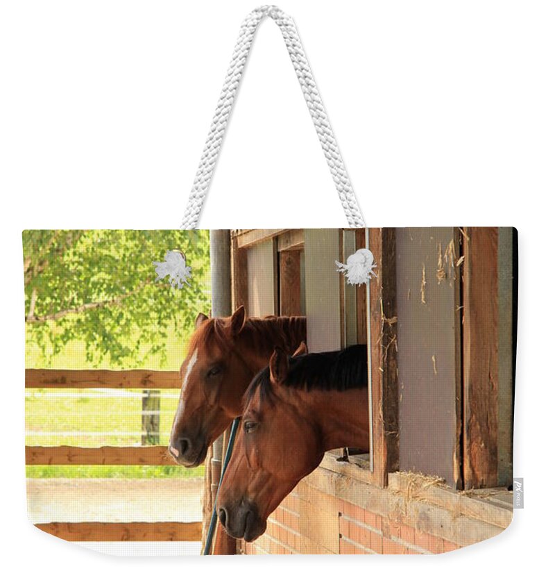 Animal Weekender Tote Bag featuring the photograph Two horses looking out of a stable by Amanda Mohler
