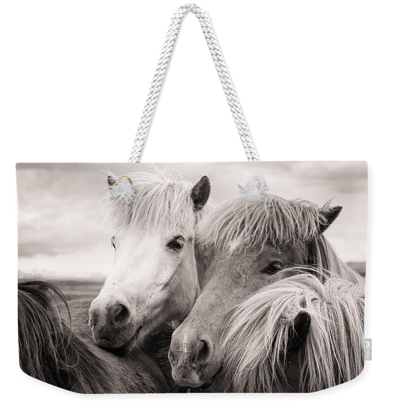 Horses Weekender Tote Bag featuring the photograph Two icelandic horses sepia photo by Matthias Hauser