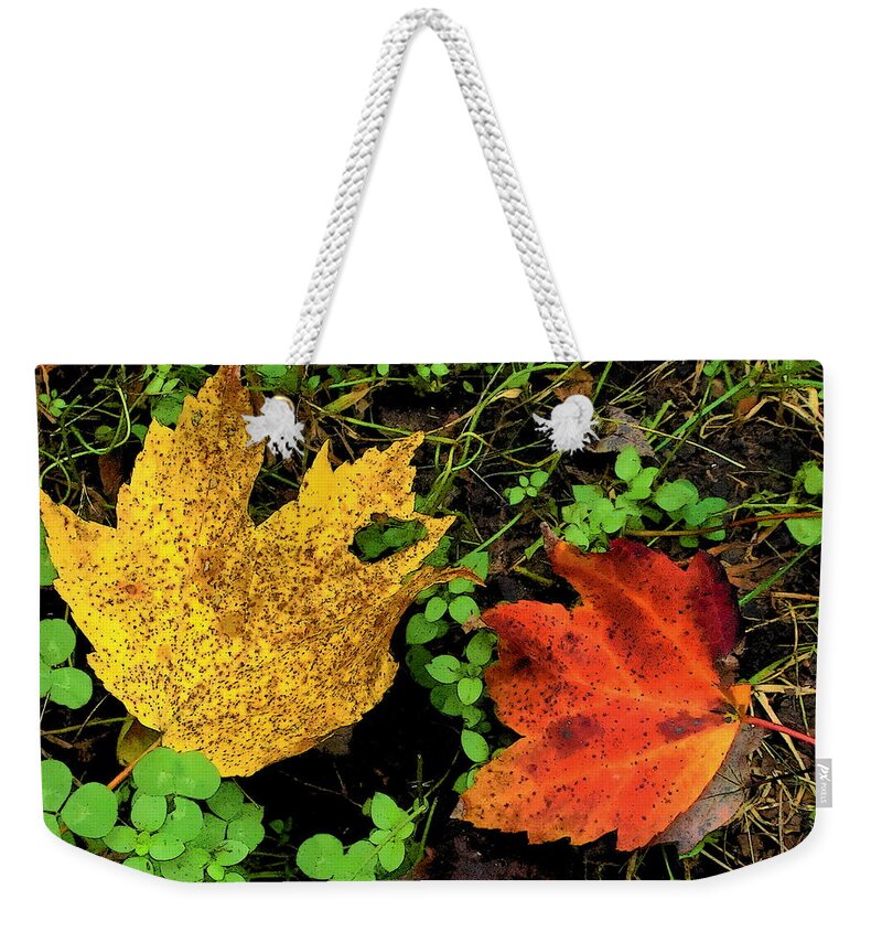 Fine Art Weekender Tote Bag featuring the photograph Two Leaves by Rodney Lee Williams