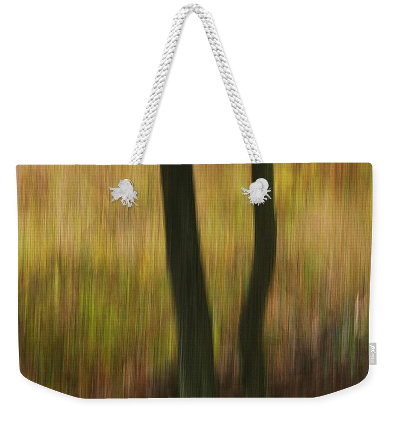 Trees Weekender Tote Bag featuring the photograph Two Leggs by Randy Pollard