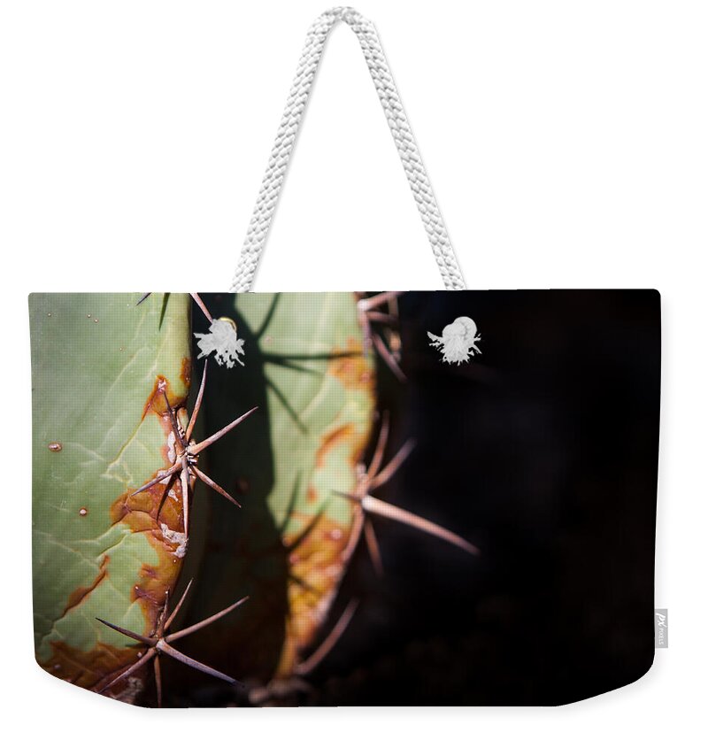 Botanical Weekender Tote Bag featuring the photograph Two Shades of Cactus by John Wadleigh