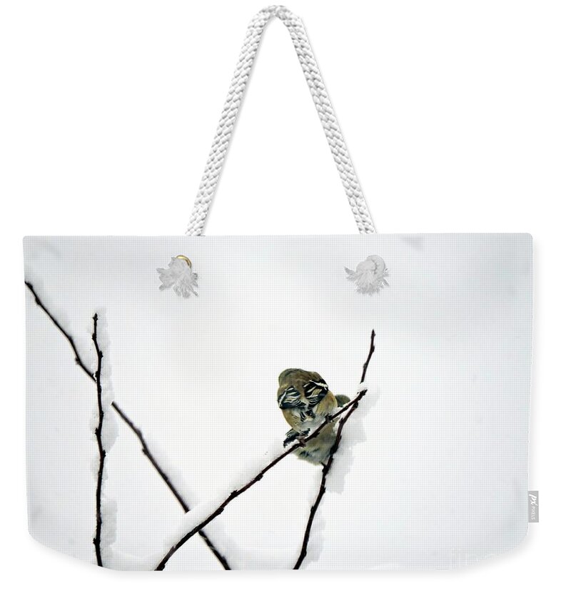 Marcia Lee Jones Weekender Tote Bag featuring the photograph Two Sparrows by Marcia Lee Jones