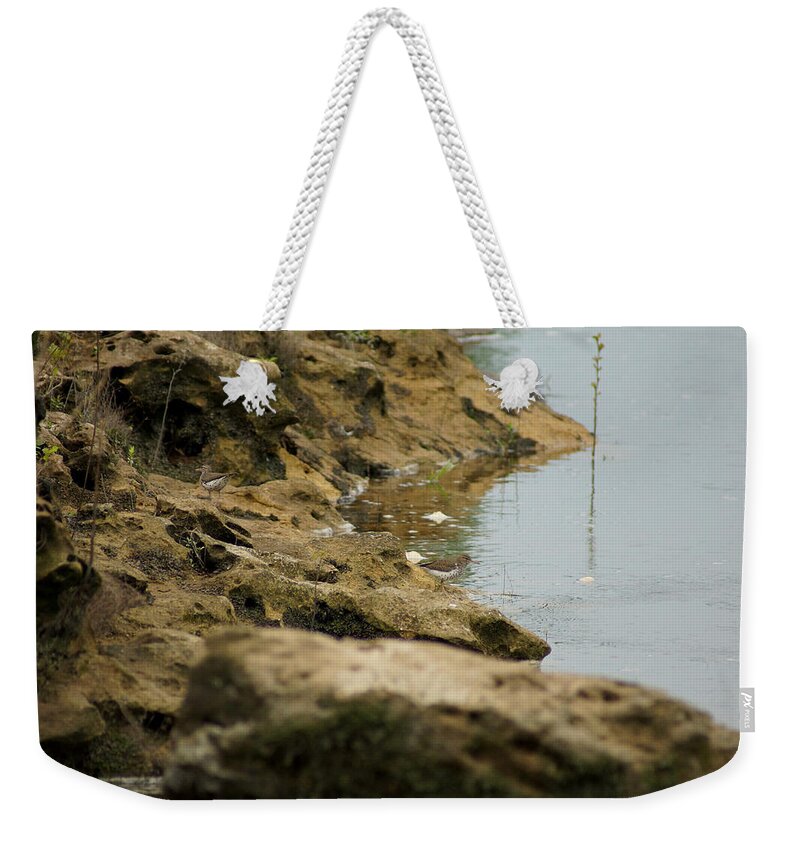 Two Spotted Sandpipers On The Flint Rivers Banks Weekender Tote Bag featuring the photograph Two Spotted Sandpipers on The Flint Rivers Banks by Kim Pate